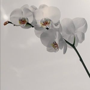 Meet your Posher, Kat